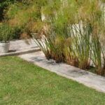 Vivienda Laguna de Sol